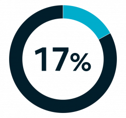 17percent 17percent