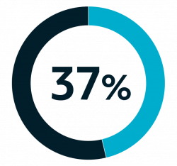 37percent 37percent