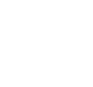 online-revenue-white online-revenue-white