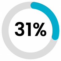 31 percent 31 percent