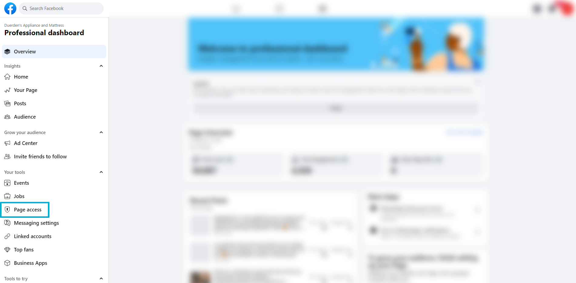 page access button faecbook screenshot highlighting the page access menu item