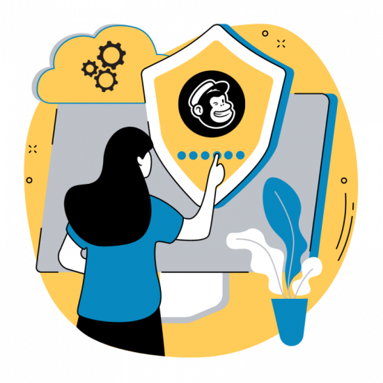 MailChimp Access Illustration MailChimp Access Illustration
